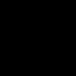 Meet your Posher, Dylan